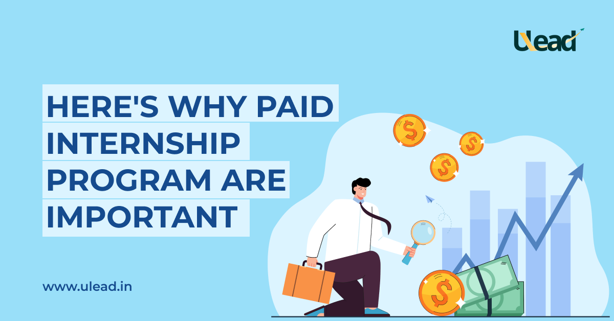 Paid internship program are important for your career