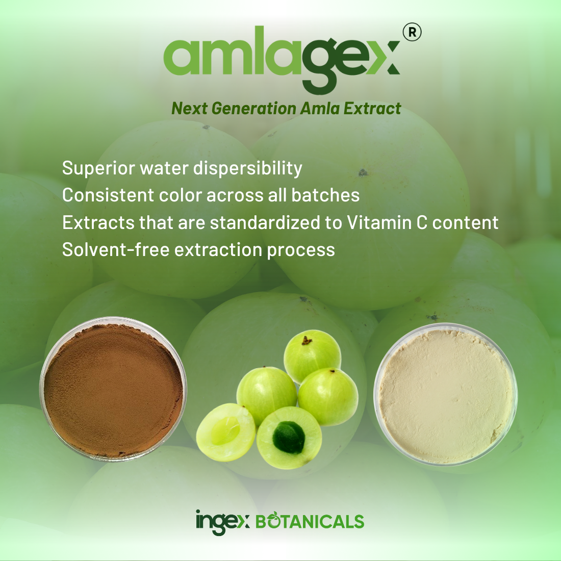 Ingex Botanicals | About Us – Herbal extract, Organic ingredient manufacturer