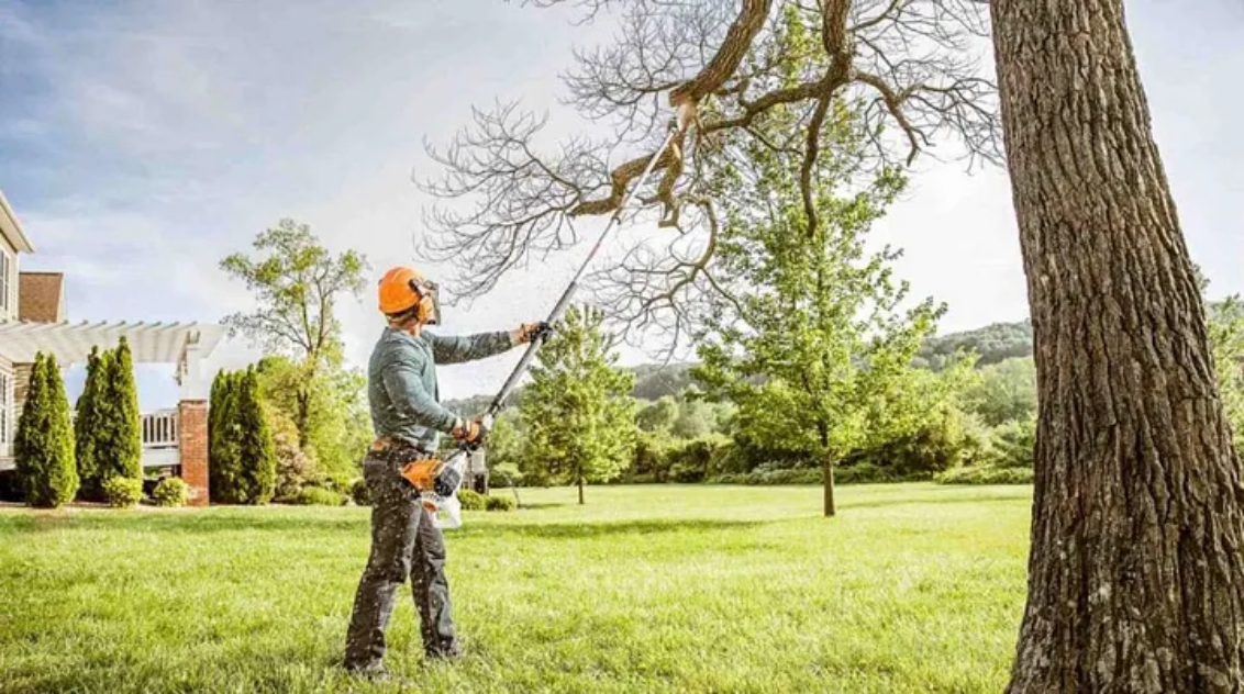 Tree Service Tips: Keeping Your Property Safe in Tinley Park