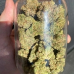 Sativa for Creative Vibes & Energy