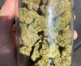 Sativa for Creative Vibes & Energy