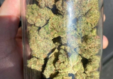 Sativa for Creative Vibes & Energy