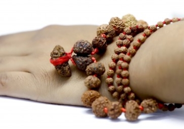 Buy rudraksha gold chain @pmkkgems