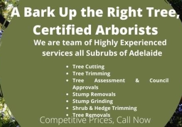 Best tree pruning  in adelaide