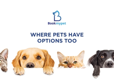 Your favorite pet boarding service providers in dubai.