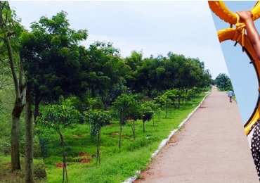 Ntr Garden, Hyderabad