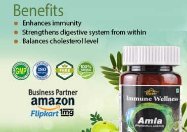 Amla capsules gift you with better vision & normalize the level of uric acid