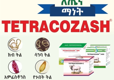 Animal health medicine in Ethiopia