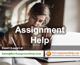 Get Assignment Help Services Online From No1AssignmentHelp.Com