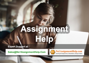 Get Assignment Help Services Online From No1AssignmentHelp.Com