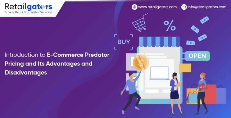 Introduction To E-Commerce Predator Pricing And Its Advantages And Disadvantages