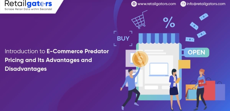 Introduction To E-Commerce Predator Pricing And Its Advantages And Disadvantages
