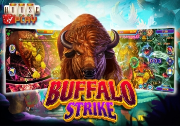 Play Buffalo Strike Fish Game Online