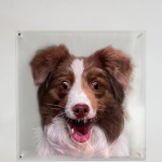Elegant Glass Pet Portrait – Custom Oil Painting from Photo