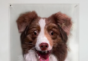 Elegant Glass Pet Portrait – Custom Oil Painting from Photo