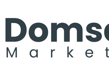 Best Search Engine Optimization Services | Domseed Marketing