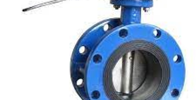 Double flanged butterfly valve supplier in Muscat