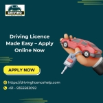 Driving Licence Made Easy – Apply Online Now