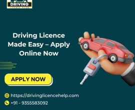 Driving Licence Made Easy – Apply Online Now