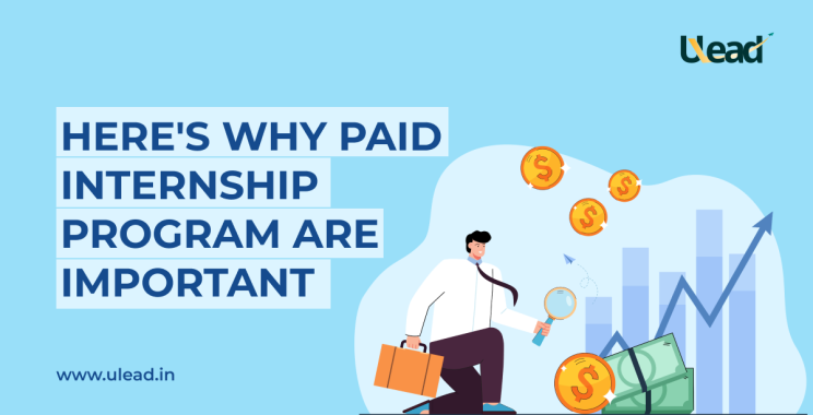 Paid internship program are important for your career