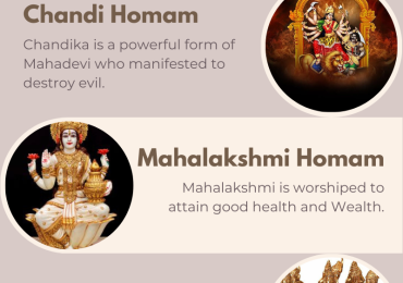 Navagraha homam pooja services