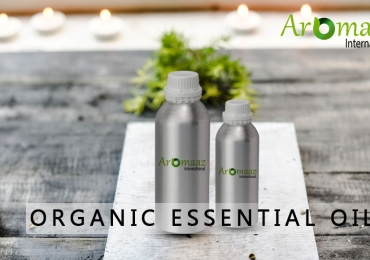 Are You Looking For E-Commerce Platform For Organic Essential Oil Suppliers?il