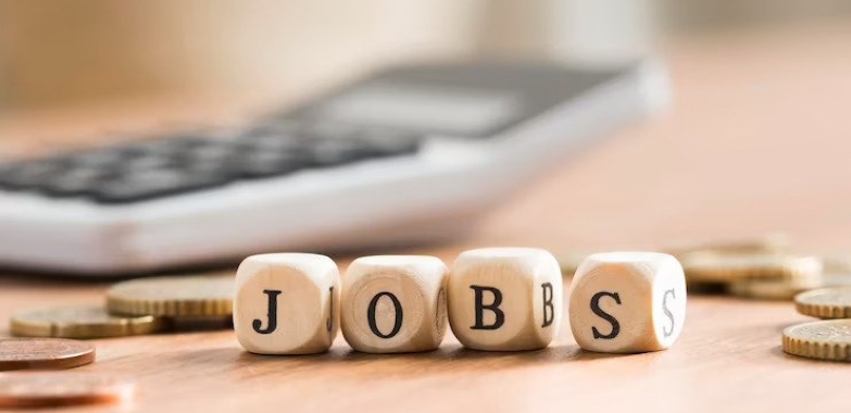 Search For Best Jobs in Education Domain