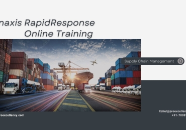 Kinaxis RapidResponse Online Training By proexcellency