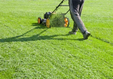 Best Lawn Mowing Services In Sydney | JBN Cleaning