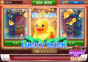 Play Lucky Duck Slot Game!