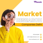 Webeasts Market Research Companies Delhi | Go to Market Research Delhi