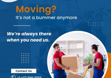 Searching For Best Movers and Packers