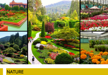 Nature ,Indiamap