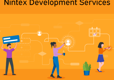 Nintex Development Services
