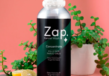 Zap Kennel Wash The Ultimate Solution for a Clean