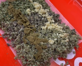 Buy Indica for Ultimate Calm & Sleep