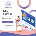 SEO Services in Delhi | 9773663776 | SEO Agency In Delhi