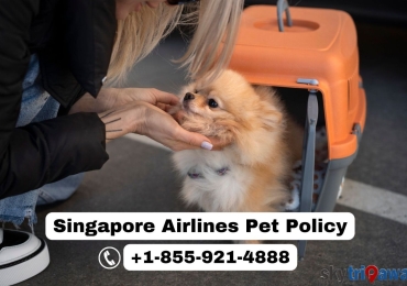 Is it possible to fly with your pet on Singapore Airlines?