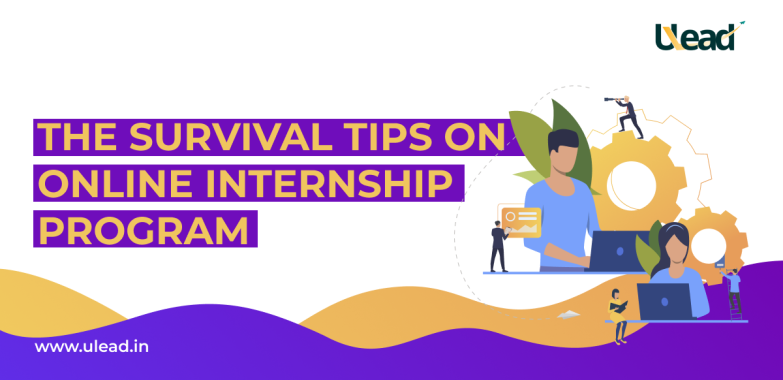 Survival Tips on Online Internship Program