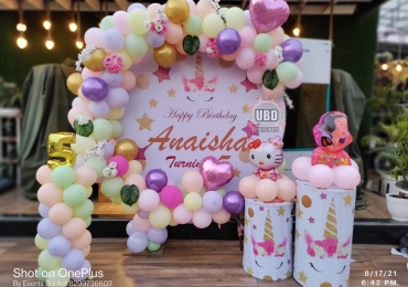 UBD- Unique Balloon Decorator