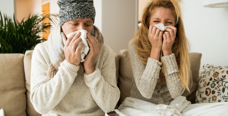 Does Oregano Oil Work to Fight Colds?