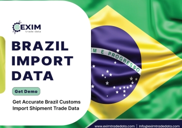 Brazil Import sample data
