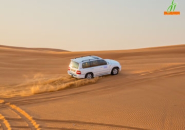 Best Offers On Desert Safari Tours For Dubai Desert Safari Tours 2022