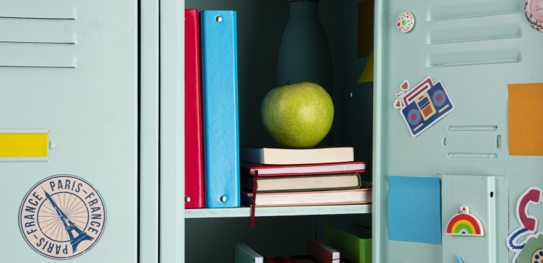 The Top 10 Benefits of Using Lockers for Secure Storage Solutions