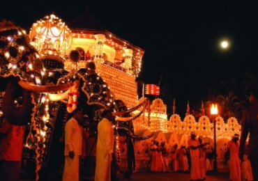 7 Days Honeymoon Tour in Sri Lanka