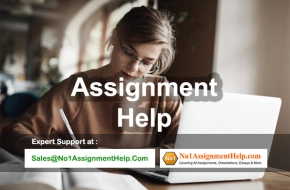 Get Assignment Help Services Online From No1AssignmentHelp.Com
